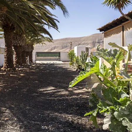 فيلة Sosha - Carpe Mundi